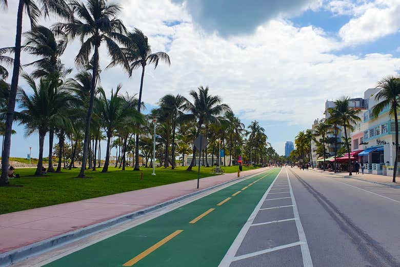 Uno dei viali di Miami Beachy
