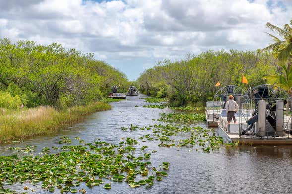 Giro in aeroscafo nelle Everglades