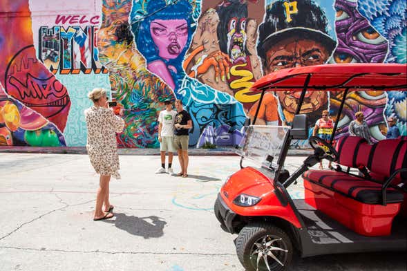 Tour di Wynwood